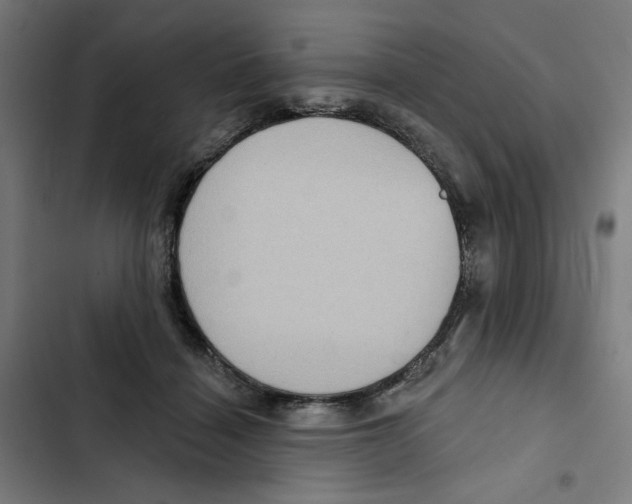 X0000102350460200808291205