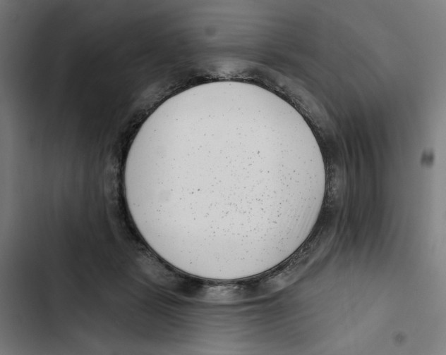 X0000102350461200808291205