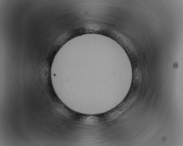 X0000102350463200808291205