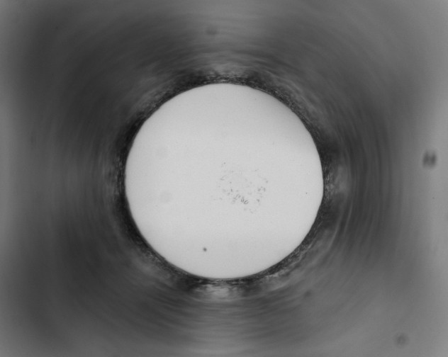 X0000102350464200808291205