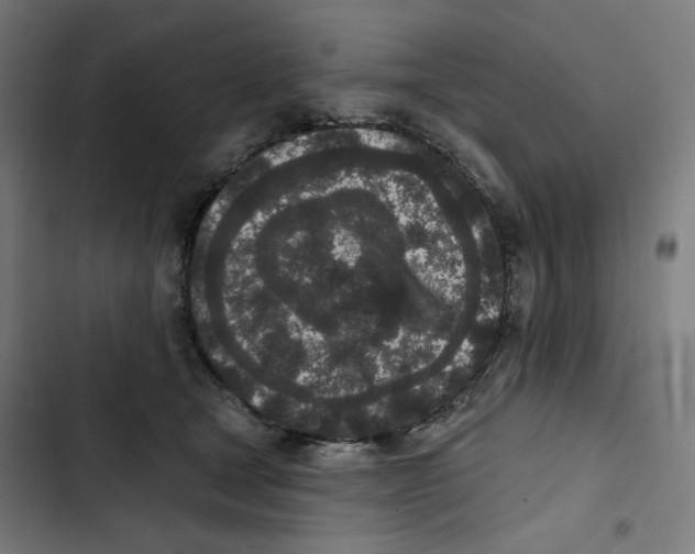 X0000102350465200808291205