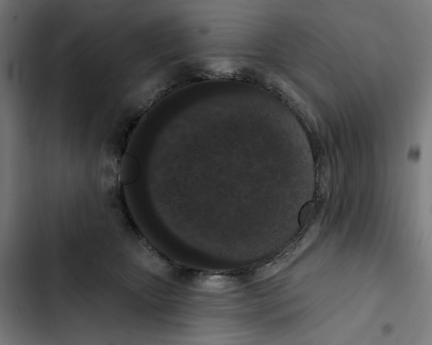 X0000102350467200808291205