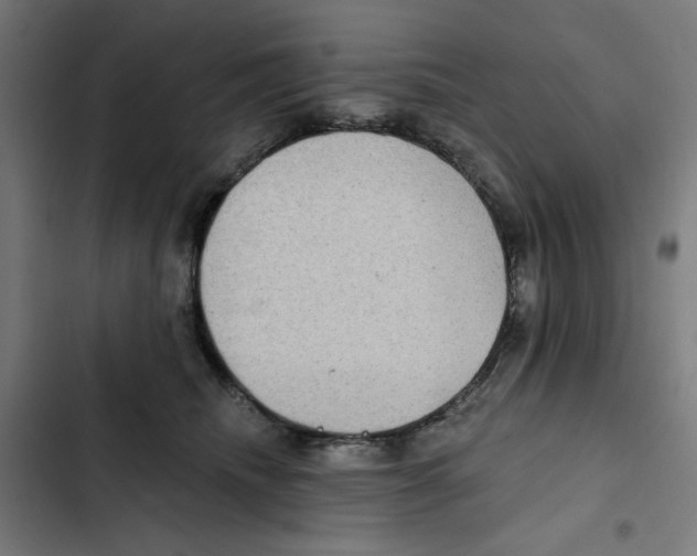 X0000102350468200808291205