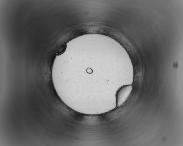X0000102350469200808291205