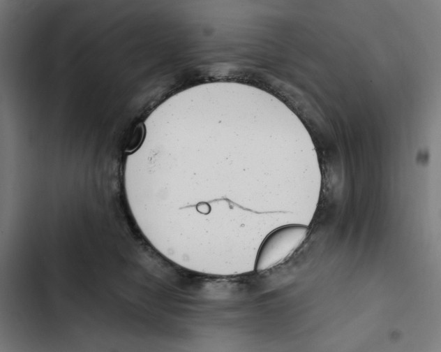 X0000102350470200808291205
