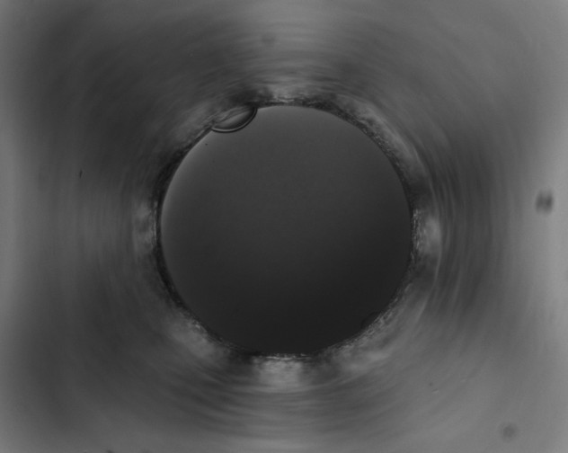 X0000102350471200808291205