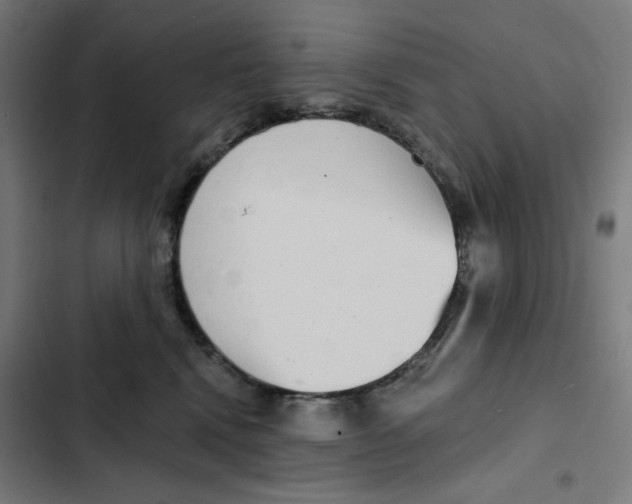 X0000102350472200808291205