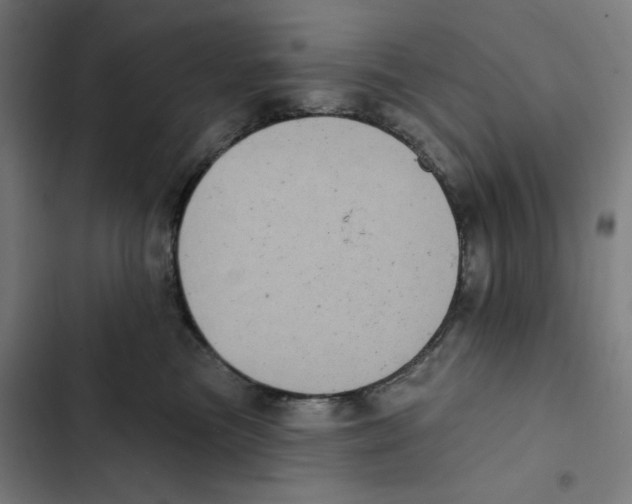 X0000102350473200808291206