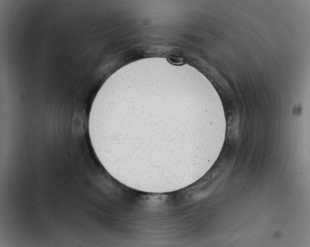 X0000102350474200808291206