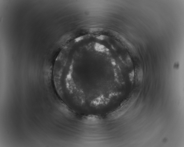 X0000102350475200808291206