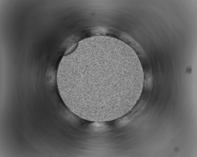X0000102350477200808291206