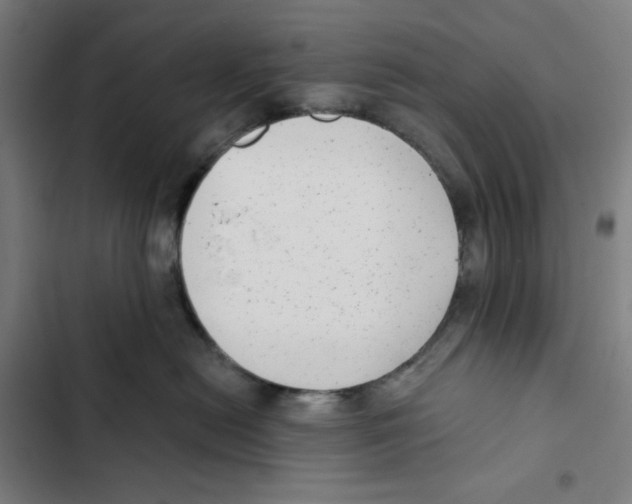 X0000102350478200808291206