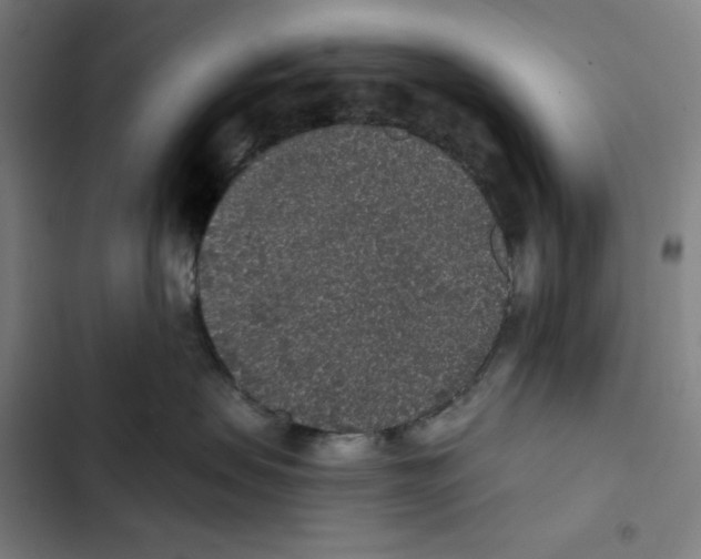 X0000102350479200808291206
