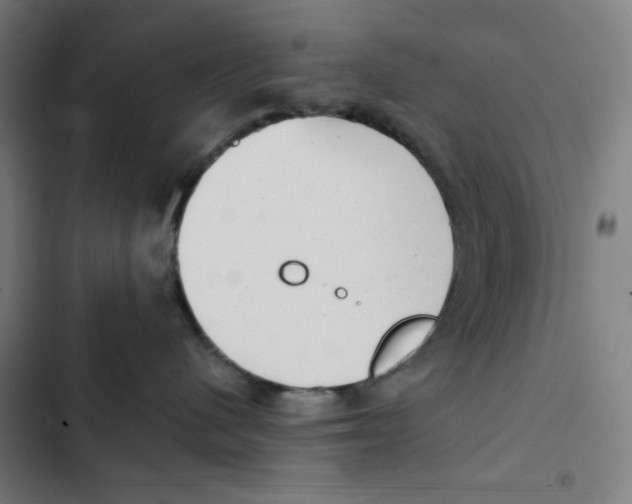 X0000102350480200808291206