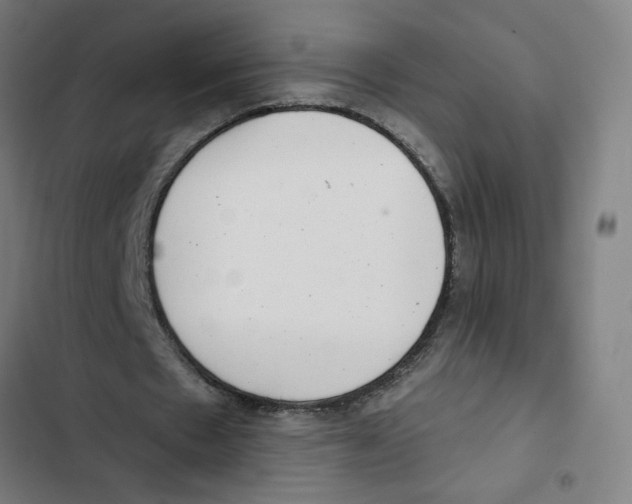 X0000102350481200808291205