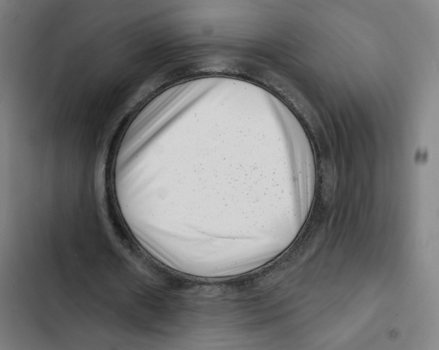 X0000102350482200808291205