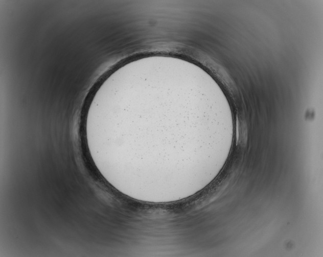 X0000102350483200808291205