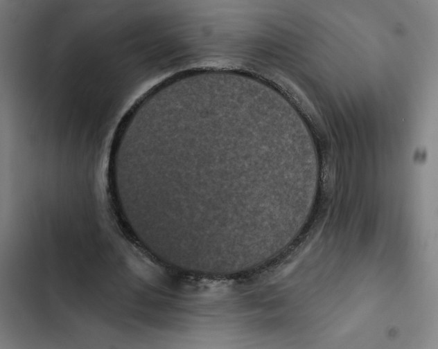 X0000102350484200808291205