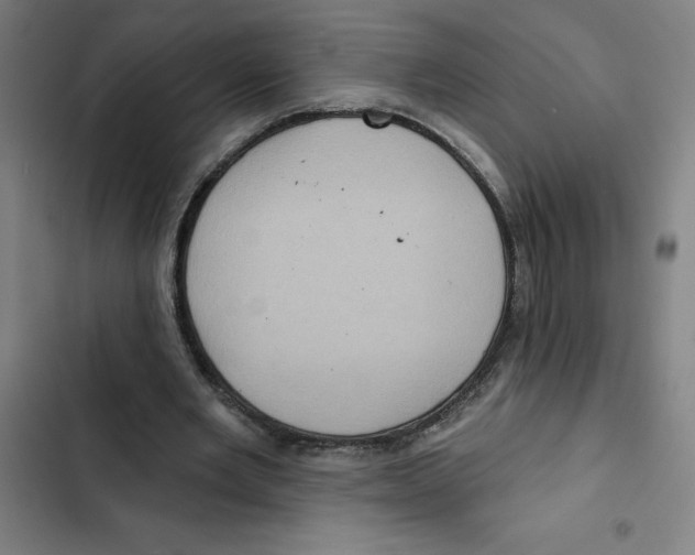 X0000102350485200808291205