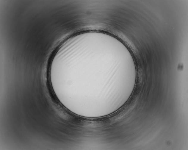 X0000102350486200808291205