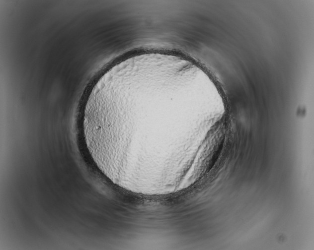 X0000102350487200808291205