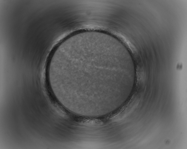 X0000102350488200808291205
