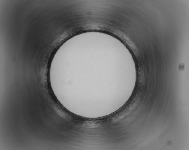 X0000102350489200808291205