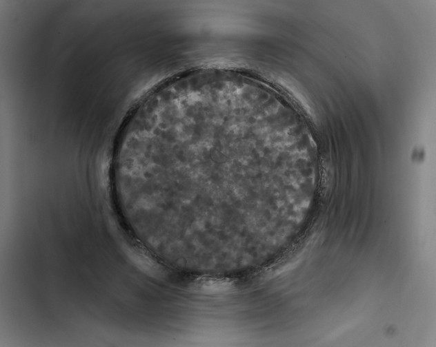 X0000102350491200808291205