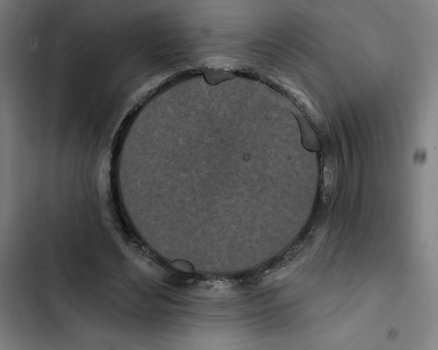 X0000102350492200808291205