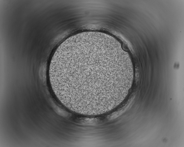 X0000102350493200808291205