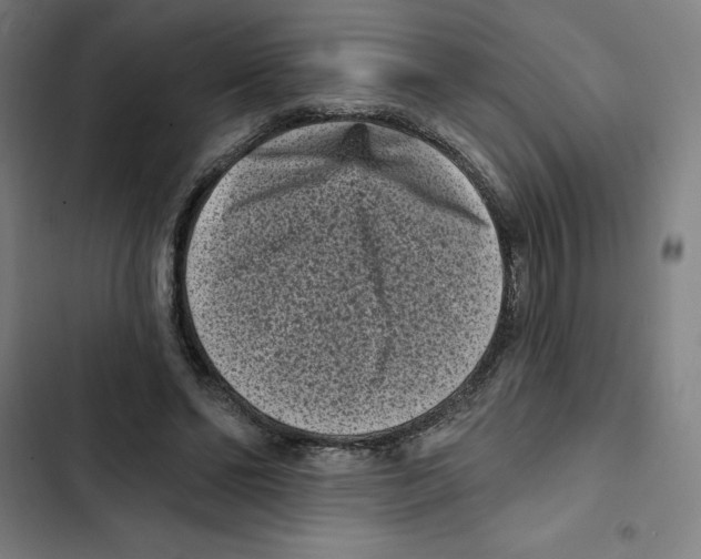 X0000102350494200808291205