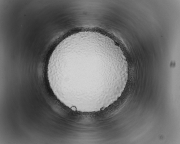 X0000102350495200808291205