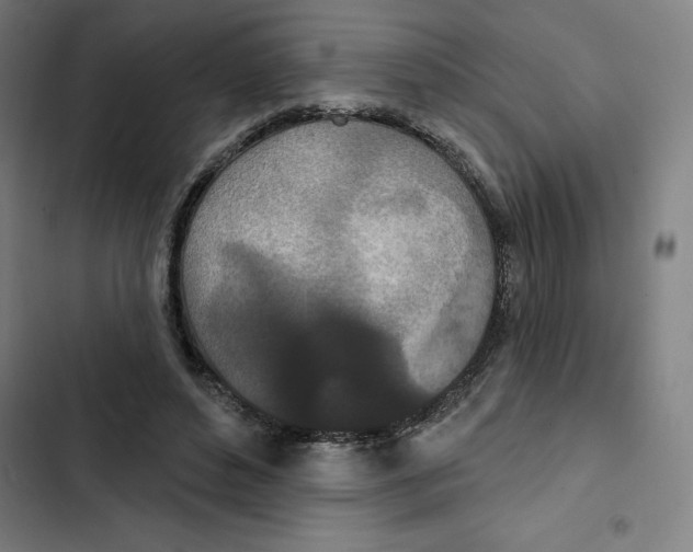 X0000102350496200808291205