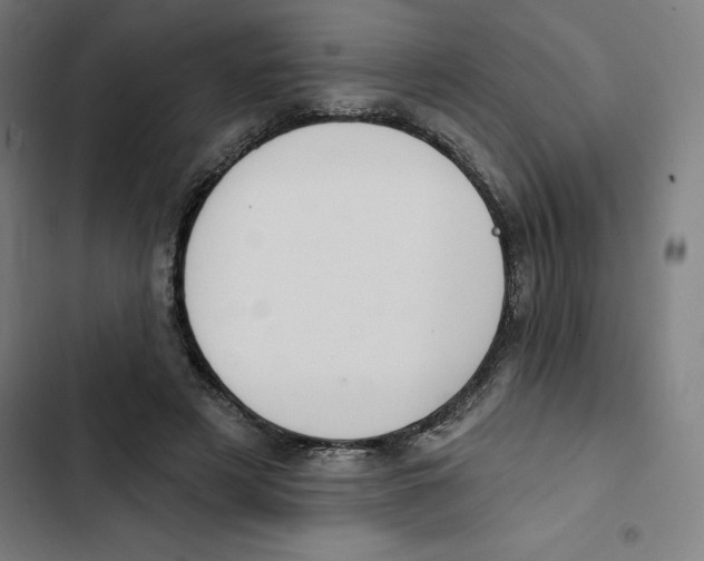 X0000102350497200808291205