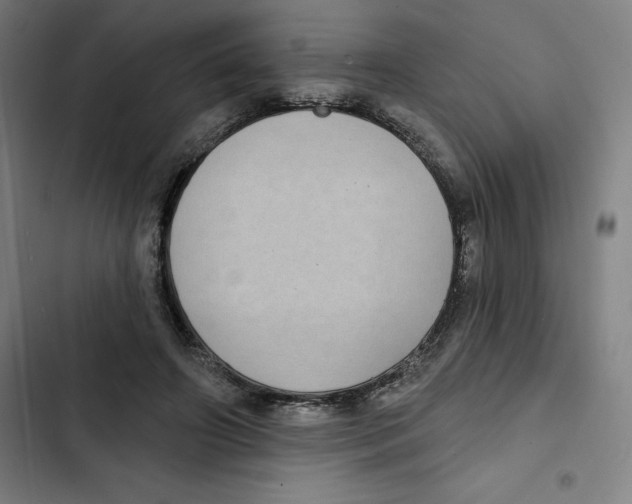 X0000102350498200808291205