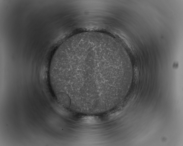 X0000102350499200808291205