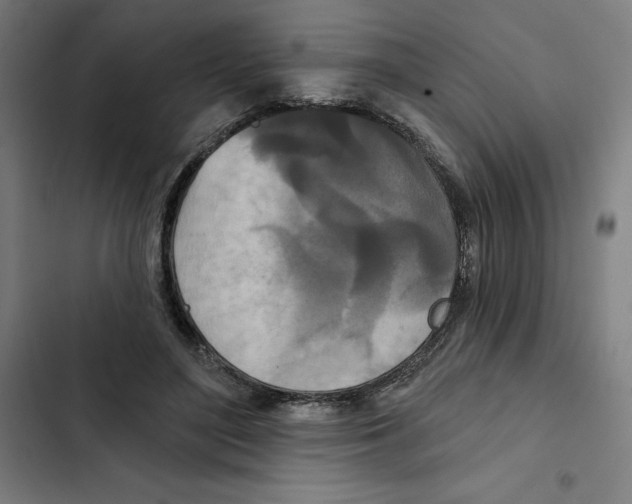 X0000102350500200808291205