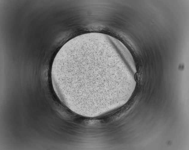 X0000102350501200808291205