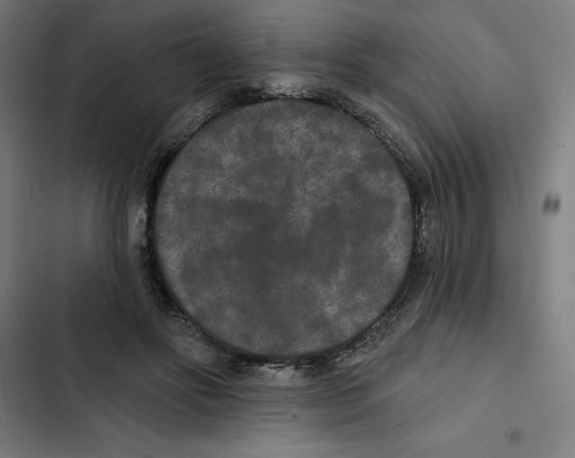 X0000102350502200808291205