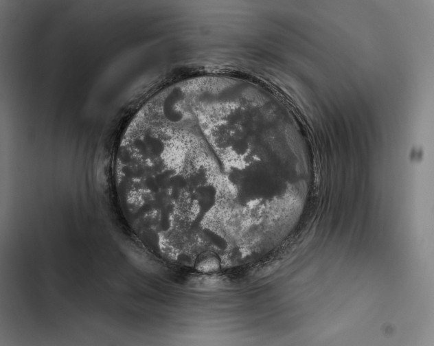 X0000102350503200808291205
