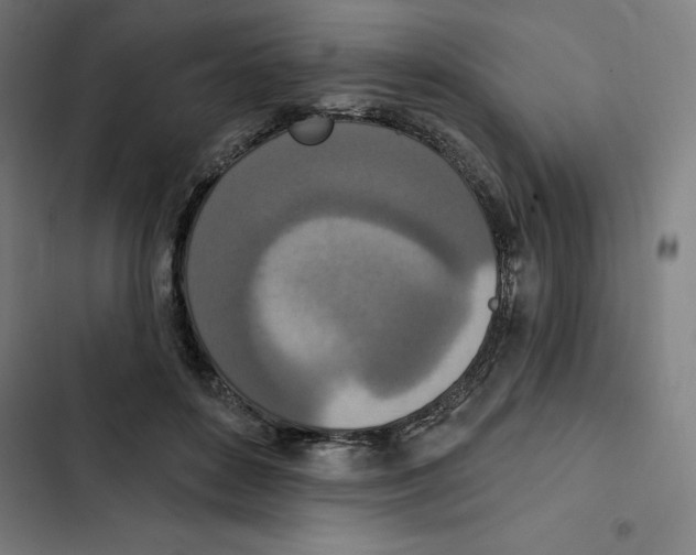 X0000102350504200808291205