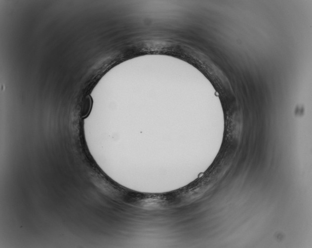 X0000102350505200808291205