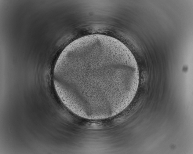 X0000102350506200808291205