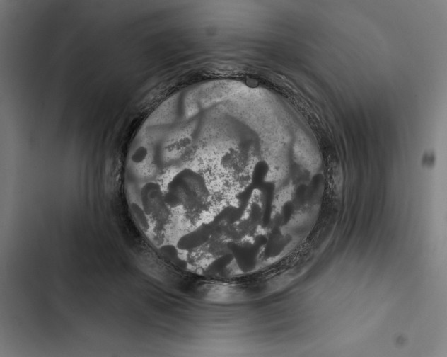 X0000102350507200808291205