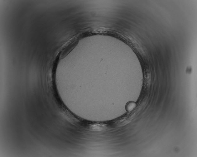 X0000102350508200808291204