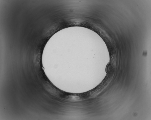 X0000102350509200808291204