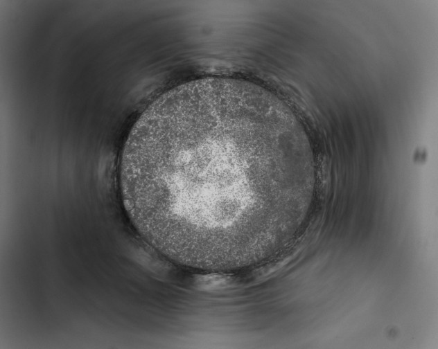 X0000102350511200808291204