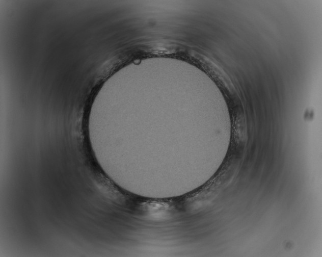 X0000102350512200808291204