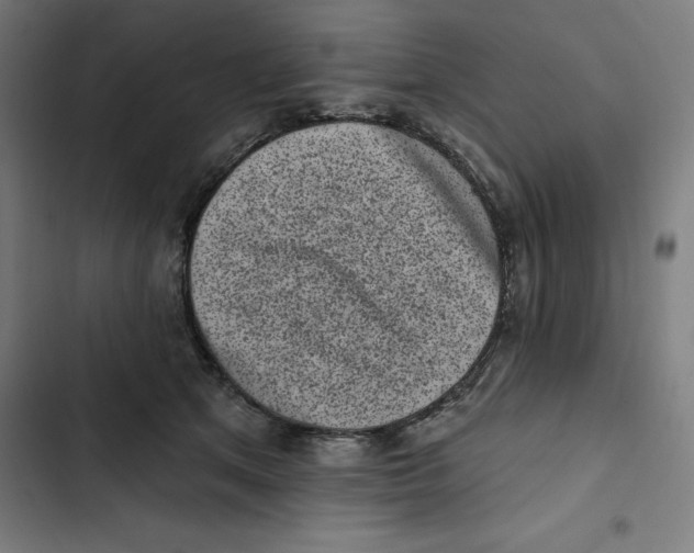 X0000102350513200808291204