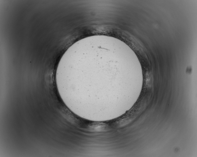 X0000102350514200808291204